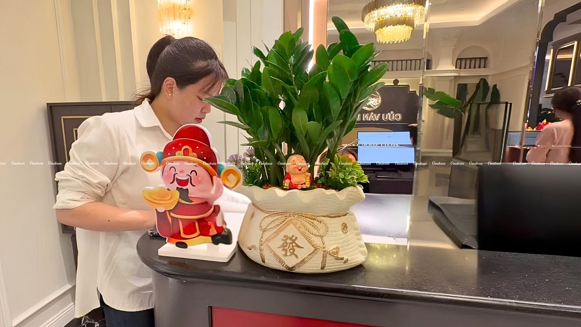 Tại quầy thu ngân Vinatrees bố trí cây xanh là Cây Kim Tiền hợp phong thủy